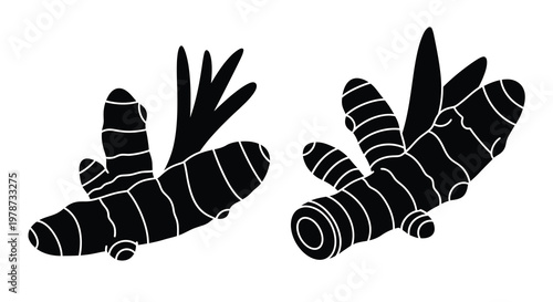 Black and white illustration of two turmeric root pieces on white background