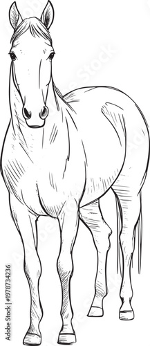 illustration of a standing horse in black and white