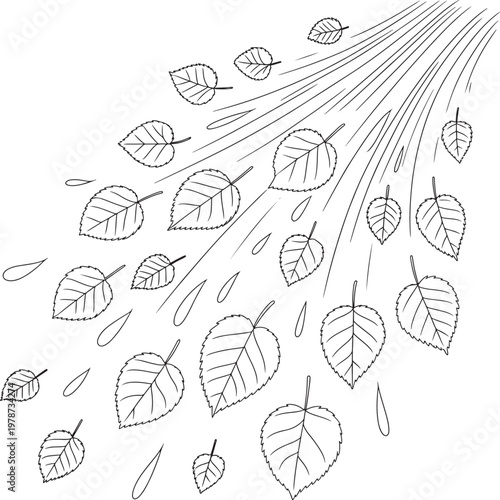 Leaves blowing in the wind, falling leaves, autumn breeze, nature scene