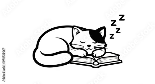 A black and white cat sleeping on a book.