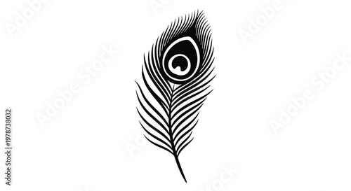 Detailed peacock feather illustration with intricate patterns a striking silhouette