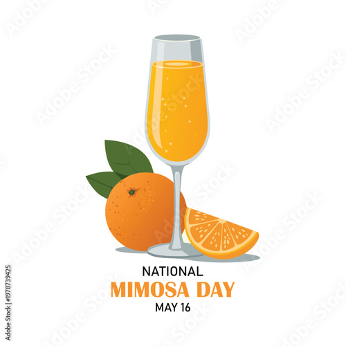 National Mimosa Day vector illustration. Mimosa cocktail with oranges icon set vector. Champagne flute with orange juice drawing. May 16 every year. Important day