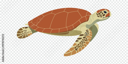 Sea Turtle Coral Reef Ocean Wildlife Concept