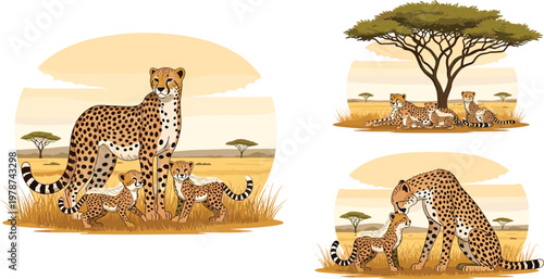 Leopard family in savanna vector set wild safari animal parent and cub wildlife illustration collection design