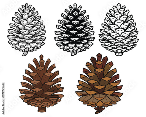 Collection of pine cones in various styles from realistic to illustrative and detailed black and white and colored drawings.