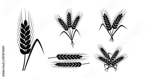 Black and white illustration depicting several stalks of wheat