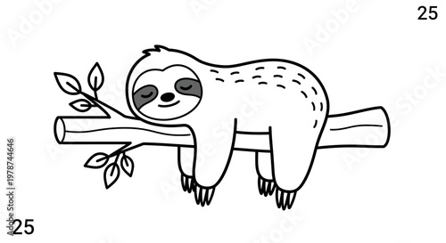 A sloth hanging on a branch.