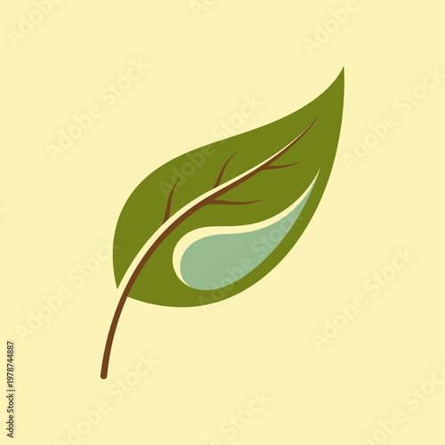 Green leaf with stem isolated.