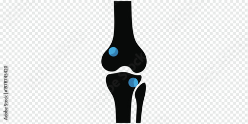 Human Knee Joint Anatomy Medical Concept