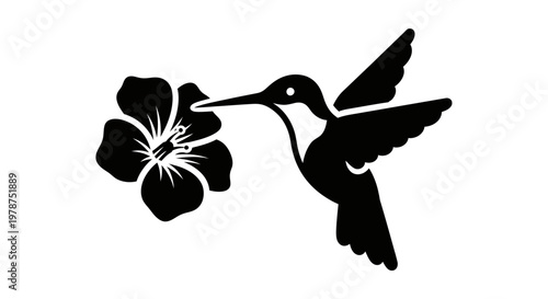 Black silhouette hummingbird feeding on flower.