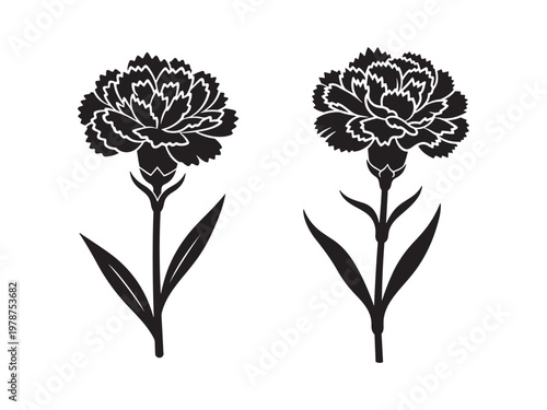 Two carnation flower silhouettes with carnation silhouette botanical illustration contrast