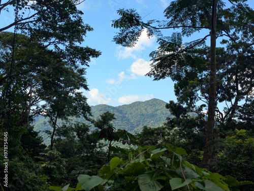 Vista a cerro
