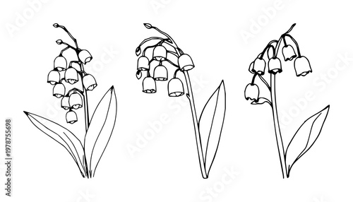 Lily of the Valley set with hand-inked line art design featuring tiny white bells, delicate leaves, botanical illustration with springtime flowers and organic lines