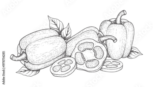 Hand Drawn Bell Peppers and Slices with Leaves capsicum vegetable food