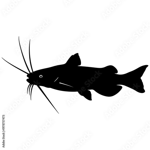 Black silhouette of a catfish with prominent whiskers against a white background