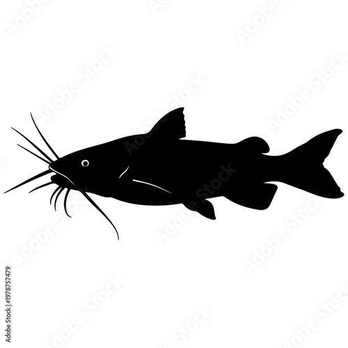 Black silhouette of a catfish with prominent whiskers, isolated on white