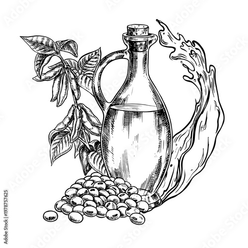 Soybean oil. A glass bottle, a handful of soybeans, and a stem with leaves and pods. Black and white vector graphics. For menus, recipes, and cookbooks. For banners, packaging, labels, and more.
