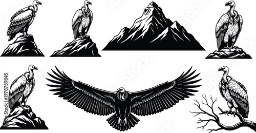 Fotografi Hand drawn vintage style vulture and condor bird silhouettes perched on rocks and flying with mountain peaks for wilderness adventure logos
