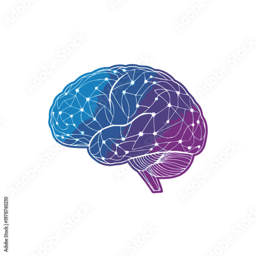 The human brain with neural connections displayed in a colorful illustration.
