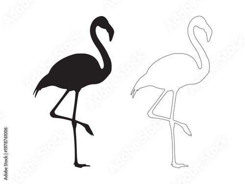 Silhouette and outline illustration of a flamingo with flamingo wildlife tropical silhouette