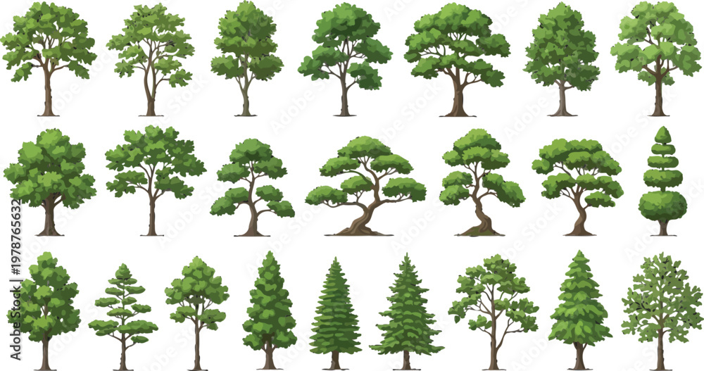 Fototapeta premium Set of various trees vector illustration. Different types of deciduous and coniferous trees icons for landscape design.