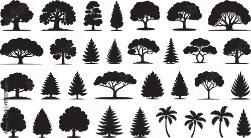 Set of black silhouette trees of various species and shapes vector illustration on transparent background.