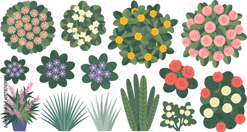 Variety of colorful potted plants and shrubs viewed from top, ideal for landscape and garden design. vector illustration