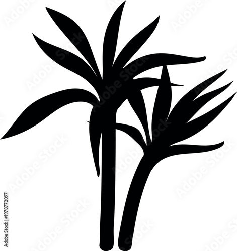 Black silhouette of sugarcane (Saccharum officinarum) isolated on white background