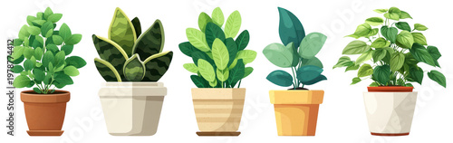 PNG Vibrant potted plants illustration on transparent background