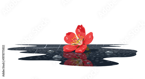 Vibrant red flower petals with delicate yellow stamens rest gracefully within a dark reflective puddle featuring shimmering water droplets on a clean white background.