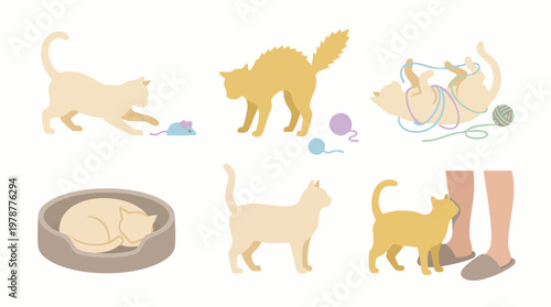 Minimalist flat design illustration set of cats in various poses and activities