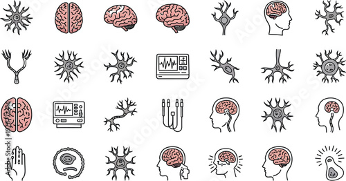 Brains illustrate complex neural network systems.