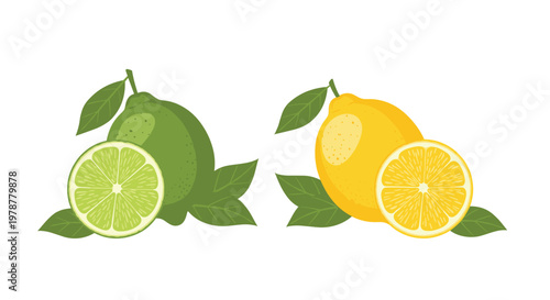 A fresh green lime and a bright yellow lemon are presented together with their respective juicy slices and lush green leaves on a clean white surface.