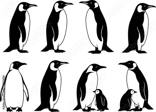 Penguin illustration set with different poses including adult and baby penguins in black and white wildlife design style