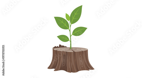 Vibrant green sapling with delicate leaves emerges from the center of a weathered brown tree stump showcasing new life and natural growth after destruction.