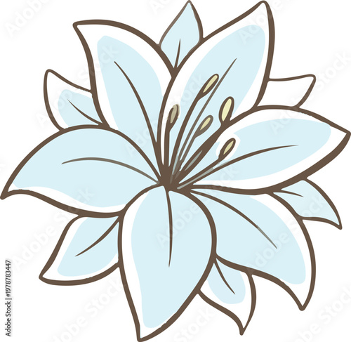 Simple floral flower heads pretty wildflower outline clipart vector illustration