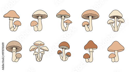 Set of mushroom illustrations featuring different pairs and groups of brown and tan fungi with various cap shapes.