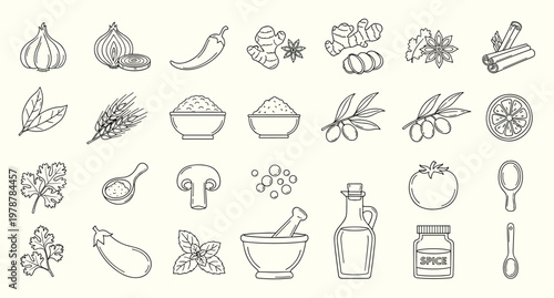 Spices and herbs icons vector featuring ginger garlic chili and cinnamon for cooking recipe and healthy food design