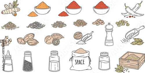 Colorful spices and seasoning icons vector featuring turmeric chili pepper and cardamom for culinary recipe design