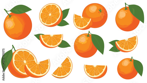 Assorted orange fruit illustrations featuring whole oranges with green leaves and various sliced segments or wedges on a white background.