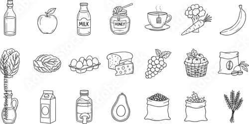 Organic food and grocery ingredients vector featuring healthy farm products for natural diet and recipe design