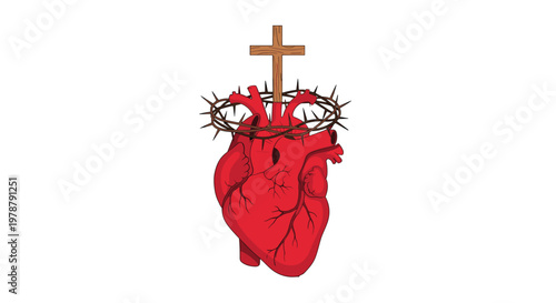 Detailed anatomical human heart rendered in deep red hues features a crown of sharp brown thorns and a tall wooden cross positioned on top against white.