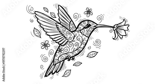 Hummingbird Doodle Vector – Hand Drawn Sketch Bird Icons