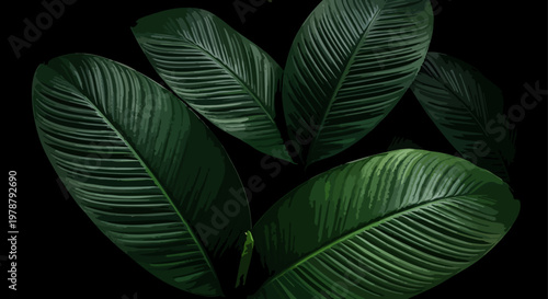 Lush green banana leaves against a dark, dramatic background creating a striking contrast.