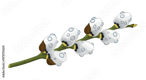 A single elegant willow branch with soft silver catkins and prominent water droplets is positioned diagonally against a minimalist and clean white backdrop.