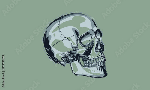 A shiny metallic human skull with a cracked surface on a muted green background