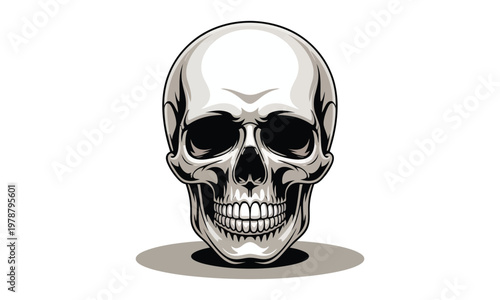 A cartoonish illustration of a smiling human skull on a white background