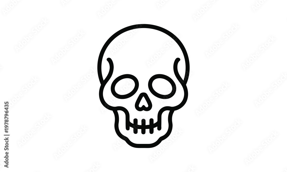 Fototapeta premium A black line drawing of a human skull on a white background