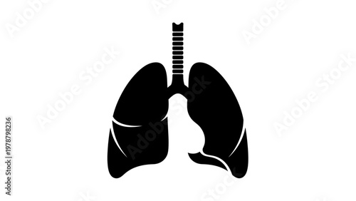 Human lungs with trachea illustration.