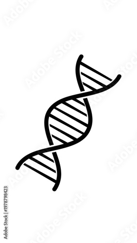 DNA Double Helix Structure Model.